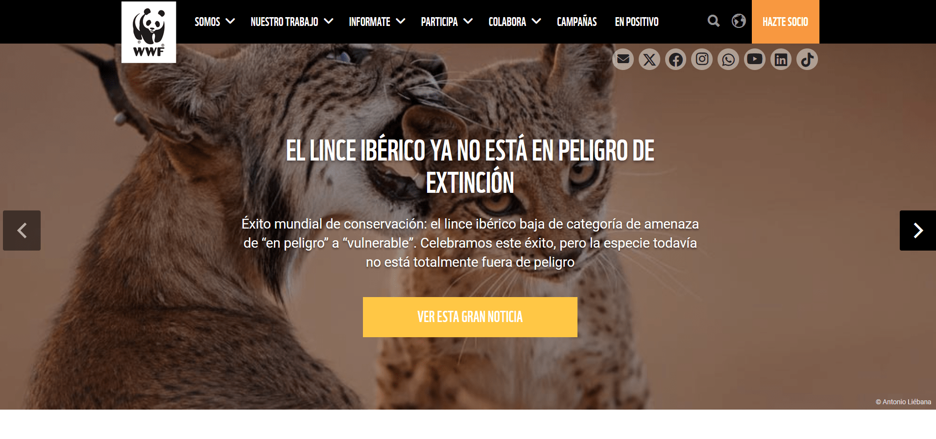 website localization example by wwf